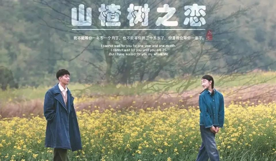 山楂树之恋歌曲表达了什么(山楂树之恋歌曲表达了什么意思) 歌曲 山楂树之恋 第1张