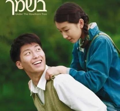 山楂树之恋歌曲表达了什么(山楂树之恋歌曲表达了什么意思) 歌曲 山楂树之恋 第6张