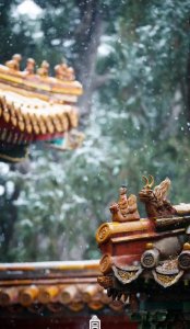 ​绝情的歌曲有哪些(绝情的人歌曲)