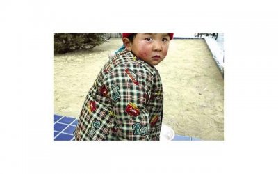 ​农村才有的几种“野果子”，吃过4种以上算你厉害，真是长知识了