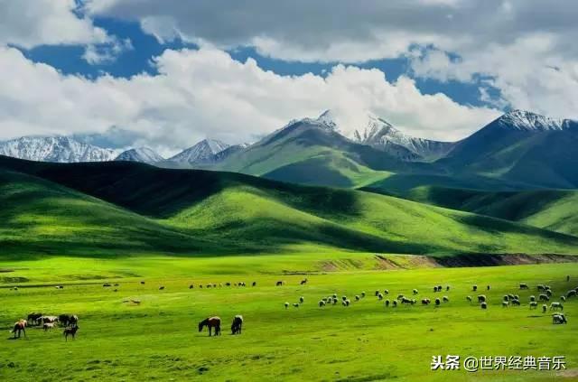 十大最好听草原歌曲（56首草原歌曲太好听了）(8)