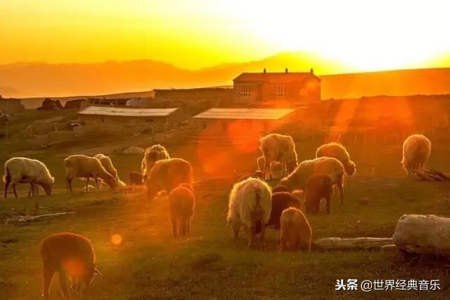 十大最好听草原歌曲（56首草原歌曲太好听了）(27)