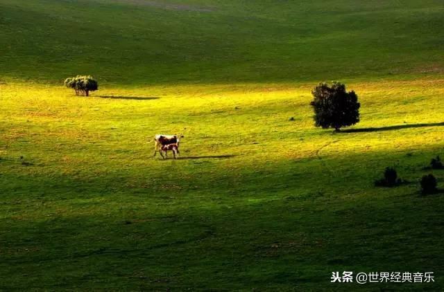 十大最好听草原歌曲（56首草原歌曲太好听了）(15)