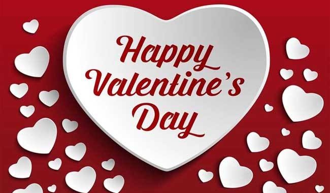 狗狗的歌曲有哪些(关于狗狗离世的歌曲有哪些) 第1张 狗狗的歌曲有哪些(关于狗狗离世的歌曲有哪些) 第1张