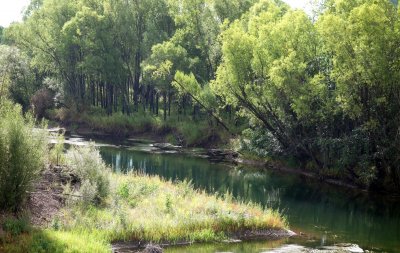 ​我愿逆流而上什么歌曲(逆流而上歌曲原唱)