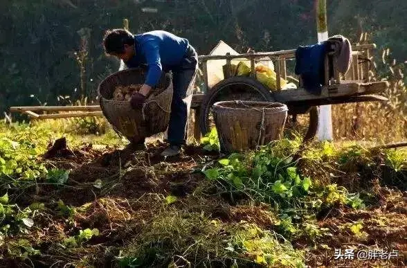 我们都是农村人是什么歌曲(我们都是农村人是什么歌里的词) 农村 歌曲 第4张
