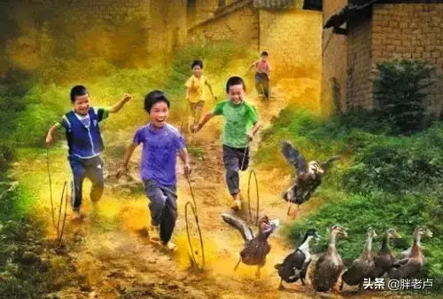 我们都是农村人是什么歌曲(我们都是农村人是什么歌里的词) 农村 歌曲 第1张