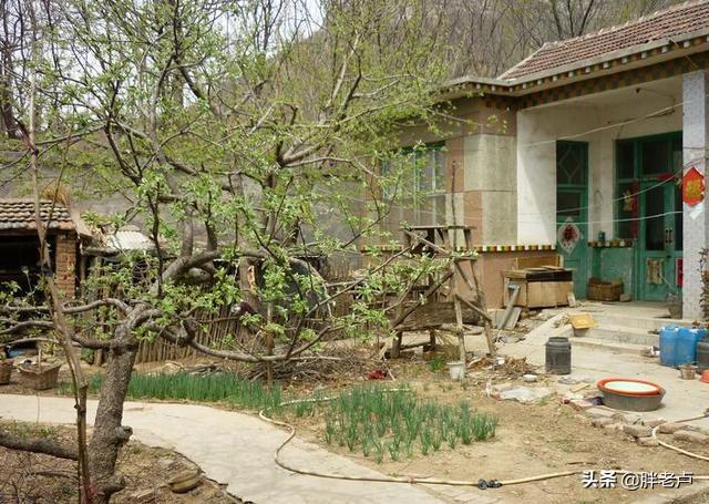 我们都是农村人是什么歌曲(我们都是农村人是什么歌里的词) 农村 歌曲 第7张