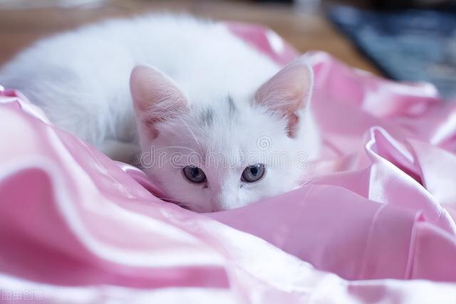 07-09年年代最流行的歌曲（90年代的大陆流行歌曲）(7)