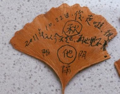 ​没你陪伴的这个冬季好孤独是什么歌（美丽姑娘原唱）