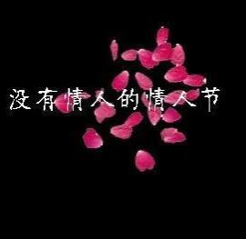 没有情人的情人节孟庭苇歌词（没有情人的情人节）(1)