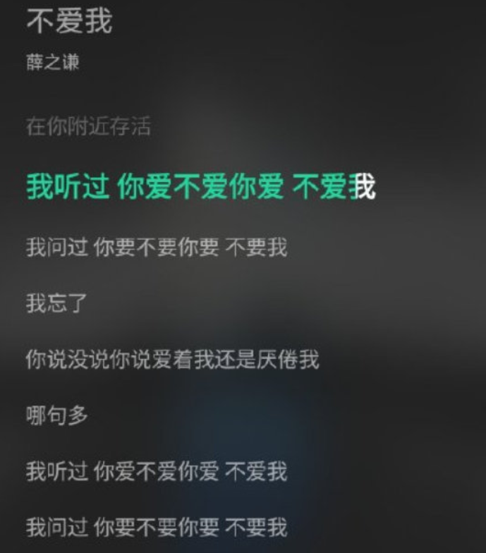 你不爱我歌词是什么歌(可是你不爱我这句歌词是什么歌)  第4张