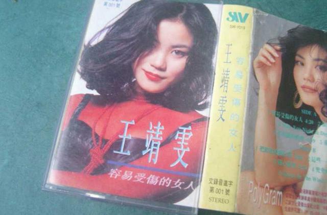 中岛美雪翻唱最好听的歌（国内翻唱中岛美雪最知名的五首歌曲）(6)