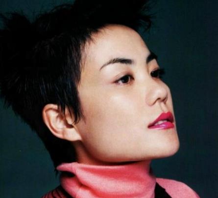 王菲好听的歌排行精选 王菲歌曲大全免费听