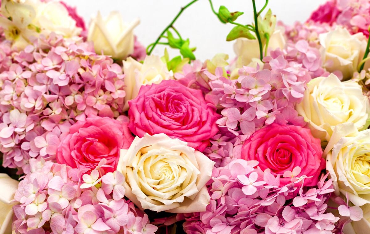 总是在梦里是什么歌曲(总是在梦里我看到你无助是什么歌曲)  第5张