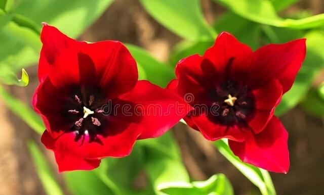 总是在梦里是什么歌曲(总是在梦里我看到你无助是什么歌曲)  第2张