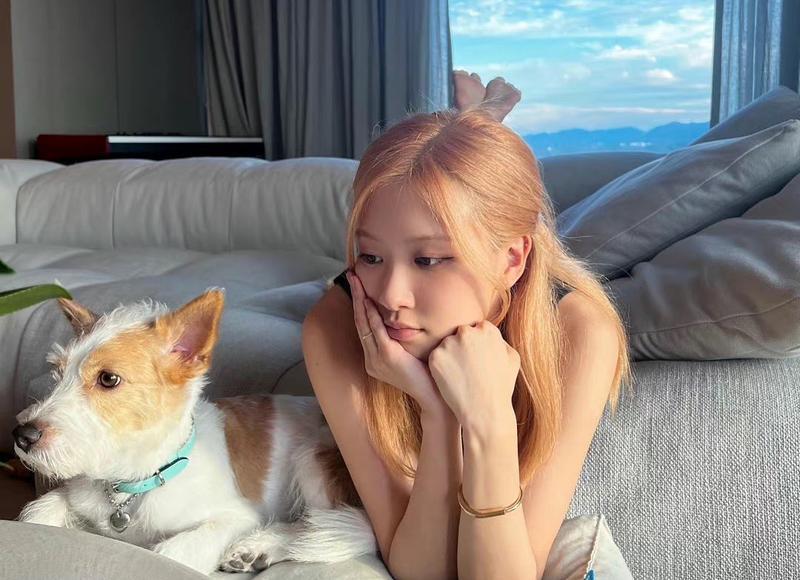 儿媳一旦怀孕婆婆的态度就大变(儿媳妇还没过门婆婆却意外怀孕)