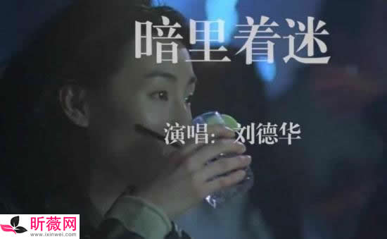 网络流行歌曲精选推荐100首