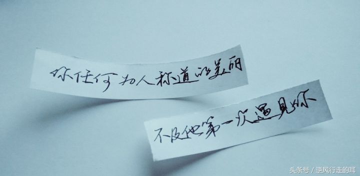 南山南歌词恐怖解析（背后都有鲜为人知的故事）