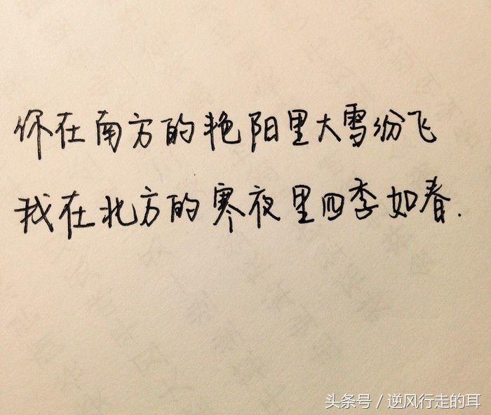 南山南歌词恐怖解析（背后都有鲜为人知的故事）