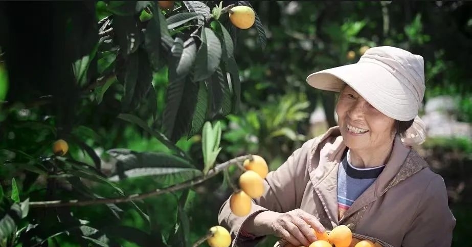 歌曲什么姑娘(一首叫什么姑娘的歌曲)  第5张