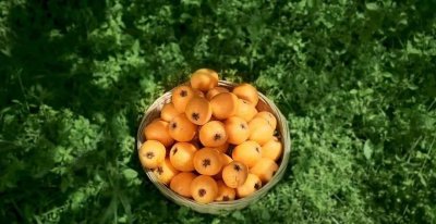 ​歌曲什么姑娘(一首叫什么姑娘的歌曲)