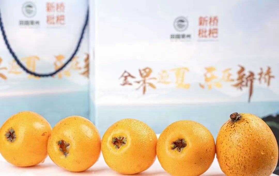 歌曲什么姑娘(一首叫什么姑娘的歌曲)  第4张