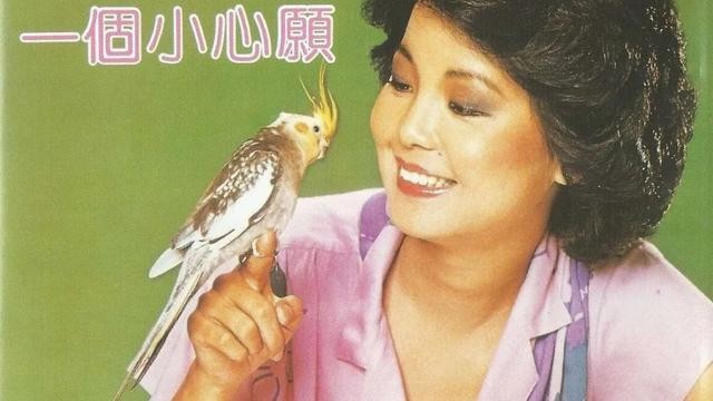 邓丽君歌曲首首动听曲曲感人（邓丽君的经典歌曲有哪些）