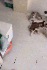 你有没有爱上我是什么歌曲(抖音歌曲我是真的爱上你) 歌曲 第7张