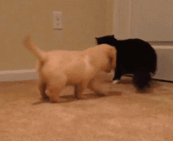 你有没有爱上我是什么歌曲(抖音歌曲我是真的爱上你) 歌曲 第9张