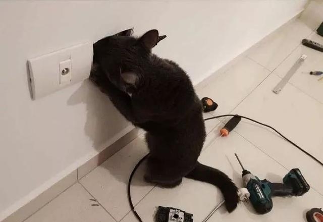 你有没有爱上我是什么歌曲(抖音歌曲我是真的爱上你) 歌曲 第15张