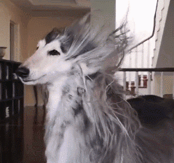 你有没有爱上我是什么歌曲(抖音歌曲我是真的爱上你) 歌曲 第4张