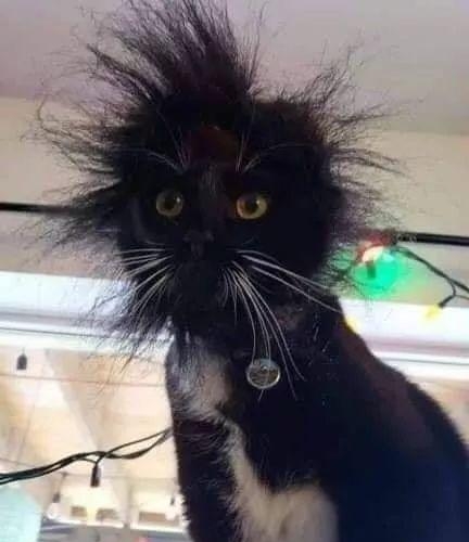 你有没有爱上我是什么歌曲(抖音歌曲我是真的爱上你) 歌曲 第16张