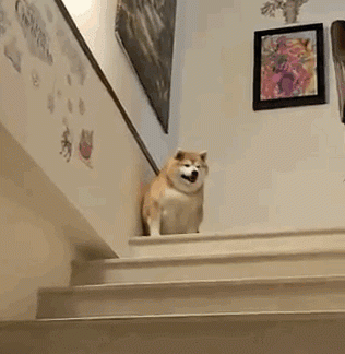 你有没有爱上我是什么歌曲(抖音歌曲我是真的爱上你) 歌曲 第6张