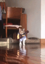 你有没有爱上我是什么歌曲(抖音歌曲我是真的爱上你) 歌曲 第3张