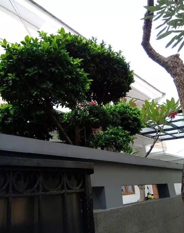 你有没有爱上我是什么歌曲(抖音歌曲我是真的爱上你) 歌曲 第11张