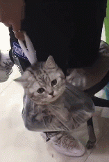 你有没有爱上我是什么歌曲(抖音歌曲我是真的爱上你) 歌曲 第8张