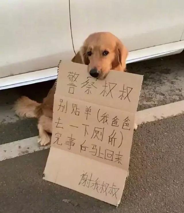 你有没有爱上我是什么歌曲(抖音歌曲我是真的爱上你) 歌曲 第10张