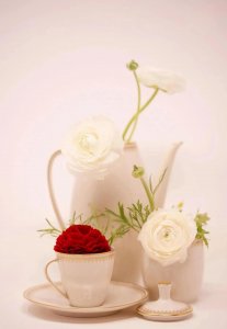 ​命中注定是一对是什么歌（命中注定在一起歌词是什么歌）