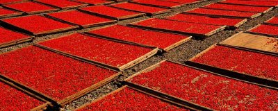 ​干枸杞变软了怎么办