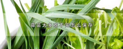 ​蒜苗太多吃不完怎么保存