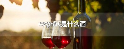 ​cognac是什么酒