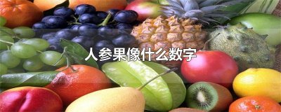 ​人参果像什么数字