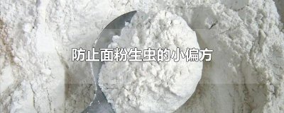 ​防止面粉生虫的小偏方