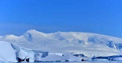 ​海洋魔兽：3米南极巨虫吞食海豹，濒临灭绝！