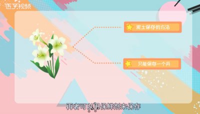 ​新鲜百合如何长期保存