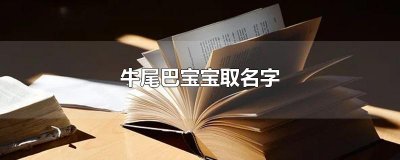​牛尾巴宝宝取名字