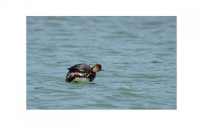 ​婚房禁忌那几种人进出