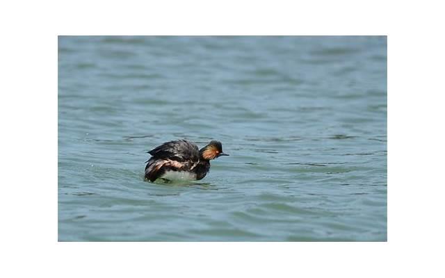 婚房禁忌那几种人进出