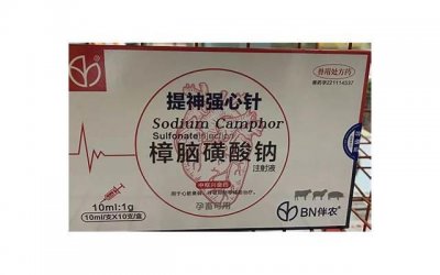 ​对于男性肾阴虚，哪种药物效果最好？